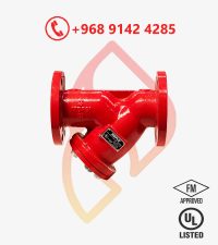 Y-type Strainer (Flanged)